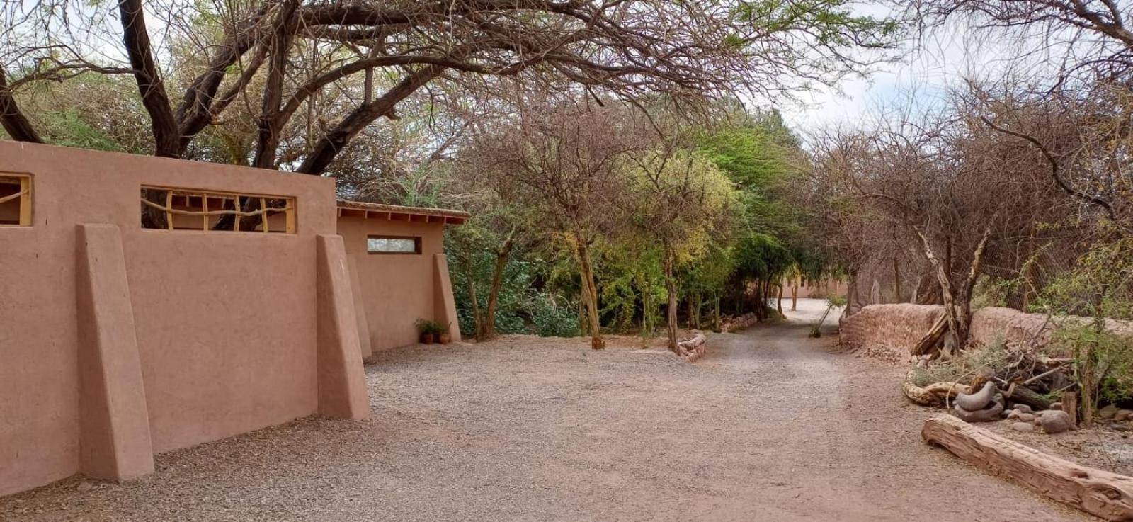 Penzion Casa Luna San Pedro de Atacama Exteriér fotografie