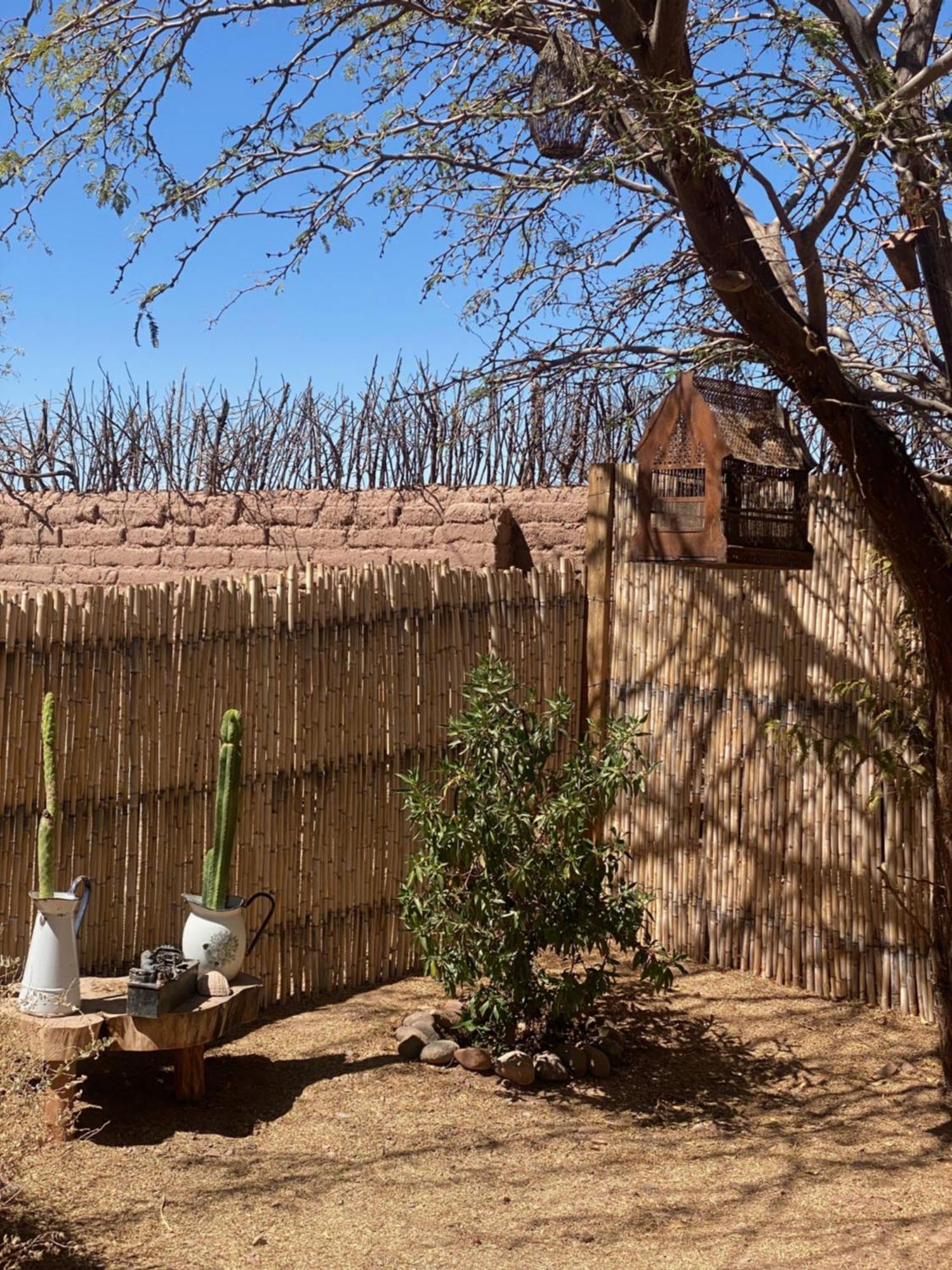 Penzion Casa Luna San Pedro de Atacama Exteriér fotografie